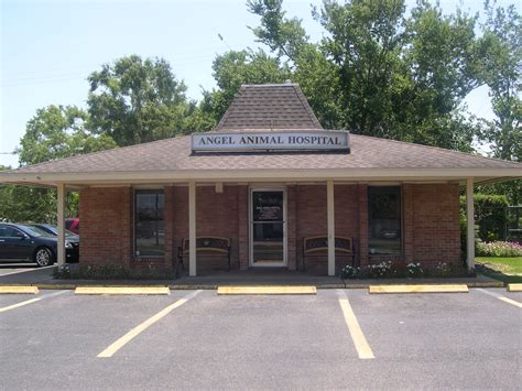 angel clinic pasadena tx|dr angel veterinarian.